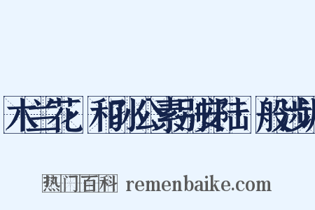木兰花·和孙公素别安陆·般涉调是什么意思的图片